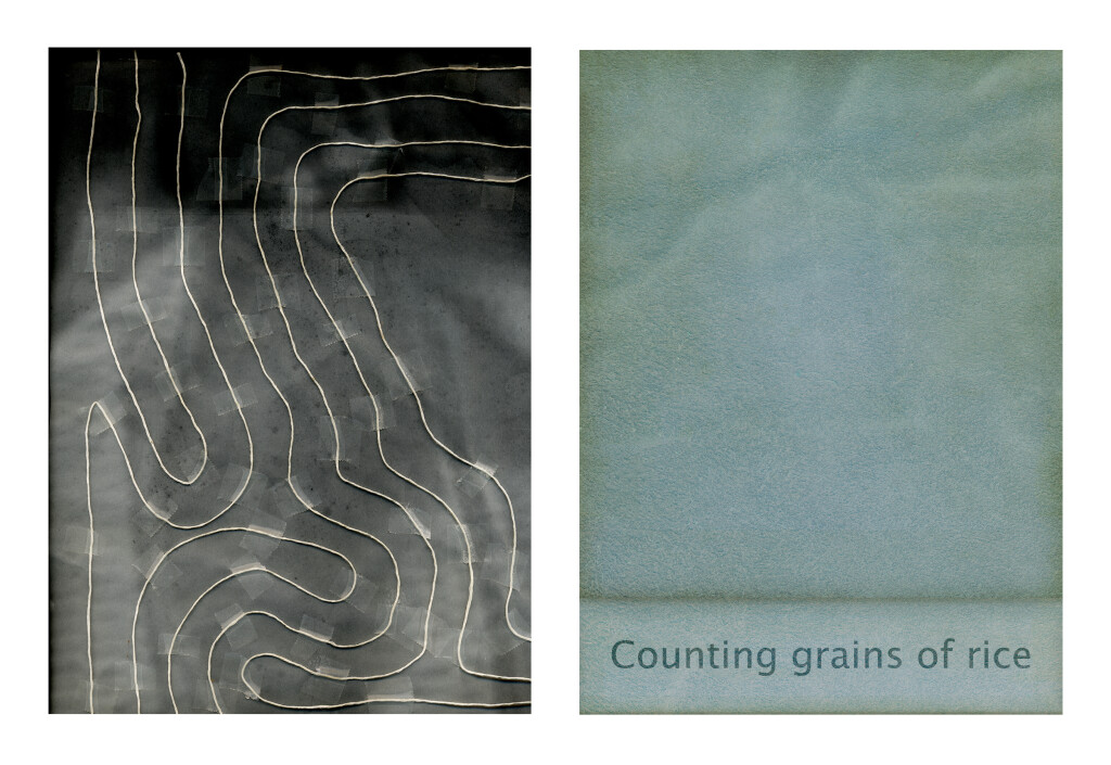 Counting grains of rice
